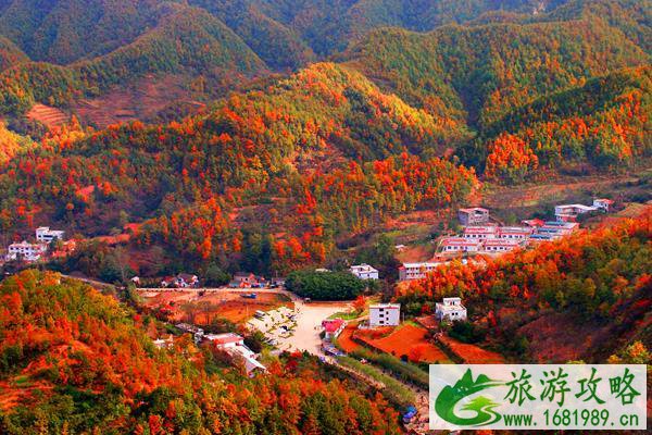 养子沟景区门票多少钱 养子沟景区门票优惠政策