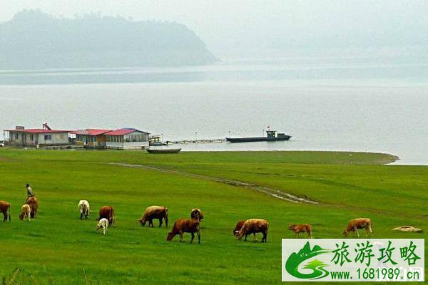 绿江村最适合几月去 绿江村最佳旅游时间和季节