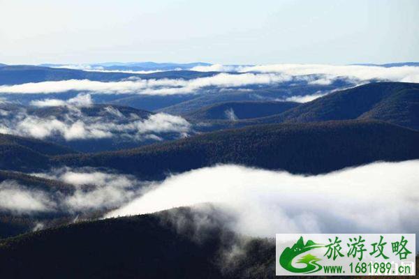 大兴安岭最佳旅游季节 夏季去大兴安岭玩什么