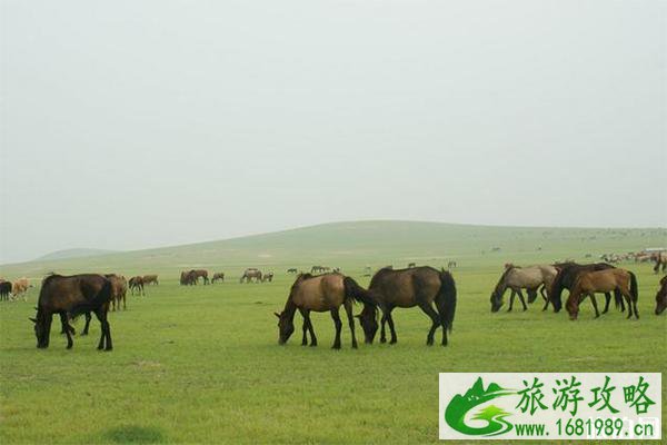 内蒙古通辽景区有哪些景点