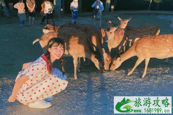 若草山开放时间 若草山在哪里