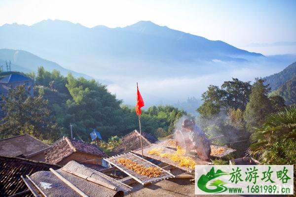 八月旅游国内最佳地点推荐