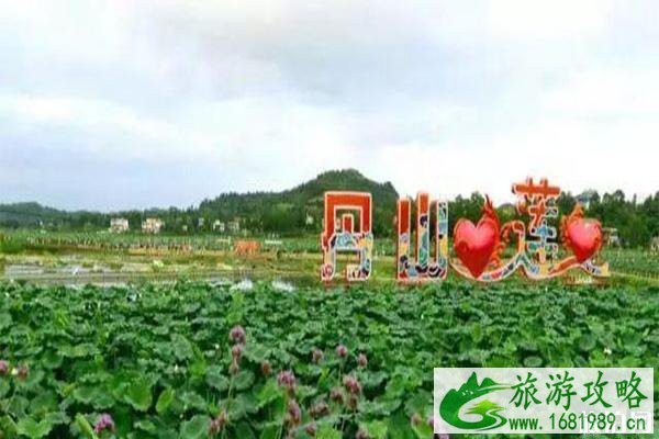 2022雁江区第三届荷花节 时间+活动内容