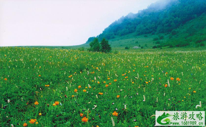 2022北京百花山风景区门票价格+住宿推荐