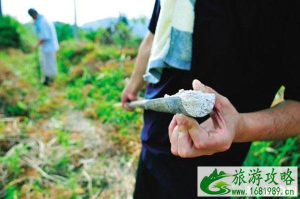 洛阳必去景点攻略 洛阳交通指南