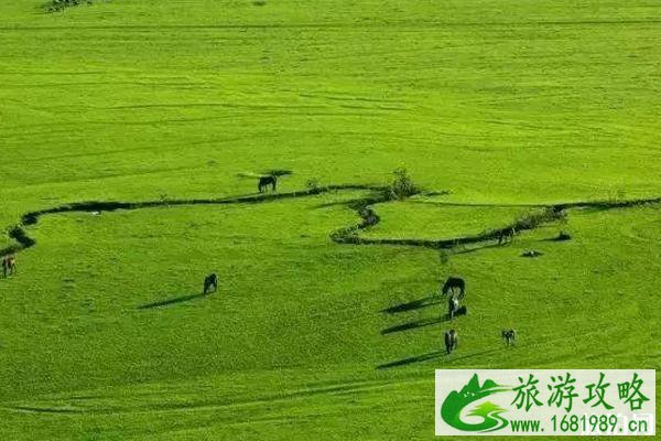 七月昭苏温度适合避暑吗 七月昭苏旅游景点哪些好