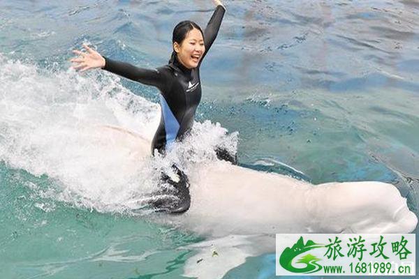 日本水族馆有哪些