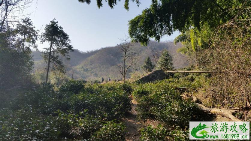 九华山有哪些景点 九华山旅游交通指南