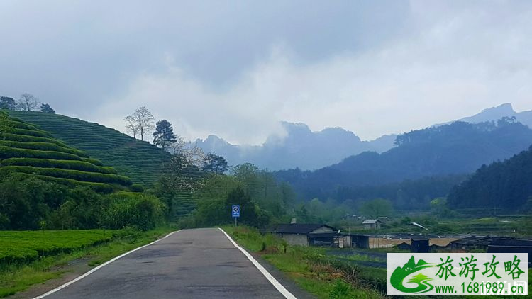 武夷山景区有哪些景点