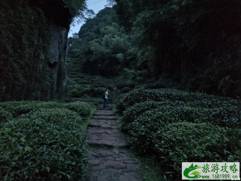 武夷山景区有哪些景点