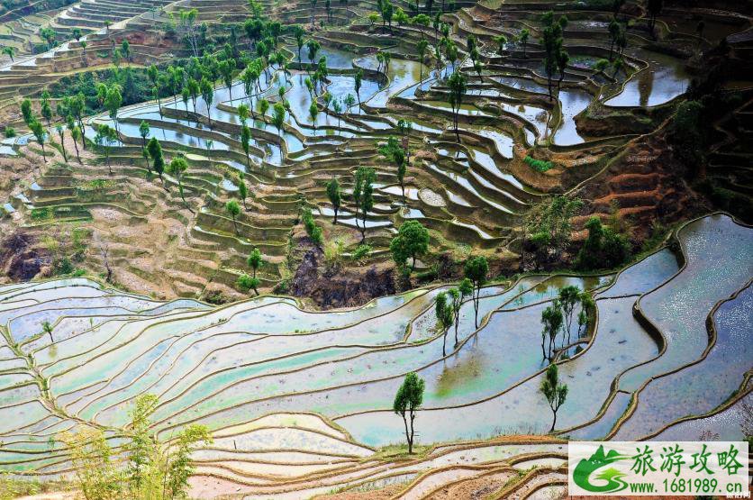 红河旅游攻略 红河值得一去的景点