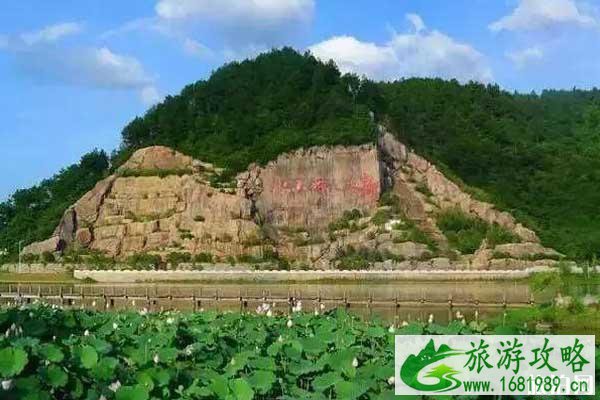 黄山看荷花去哪里