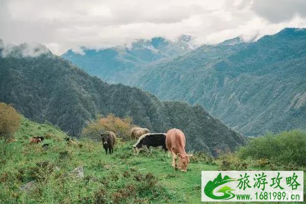 成都周边游景点推荐 成都周边适合打卡的网红景点大全