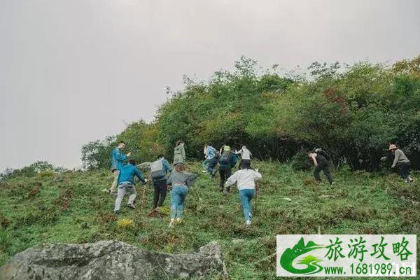 成都周边游景点推荐 成都周边适合打卡的网红景点大全