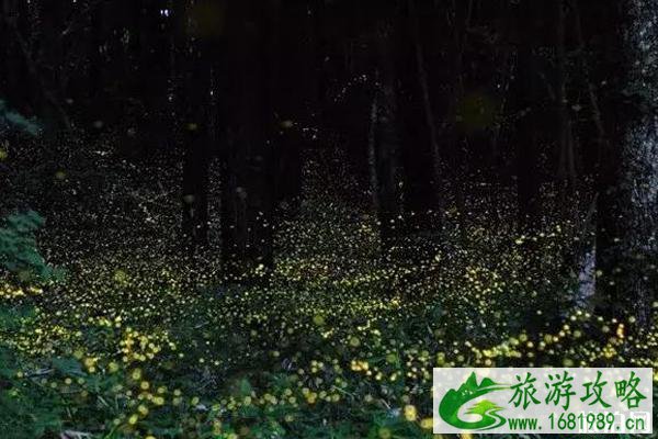 暑假去沙巴好玩吗（景点+玩法推荐）