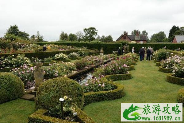 英国奥斯汀玫瑰园视频 奥斯汀玫瑰园介绍及游玩攻略