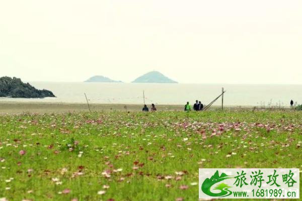 宁波哪里的海滩最美 宁波哪里的沙滩最好玩