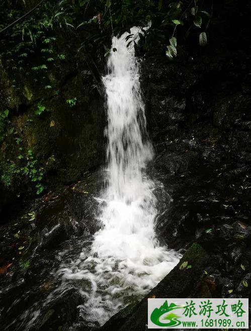 天柱峰景区在哪里 天柱峰景区游玩攻略