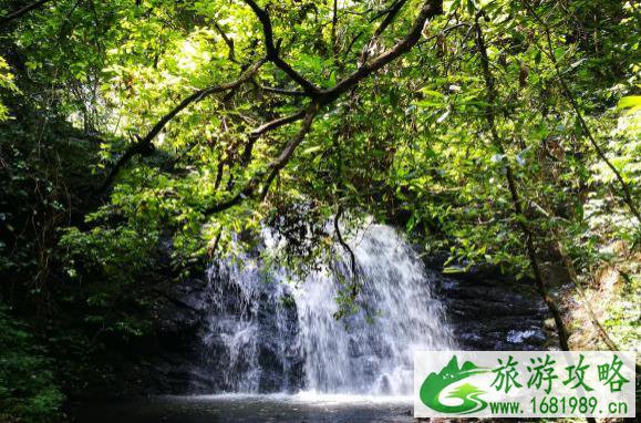 天柱峰景区在哪里 天柱峰景区游玩攻略