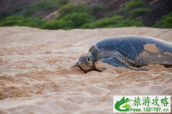 热浪岛在哪里 热浪岛潜水住宿攻略