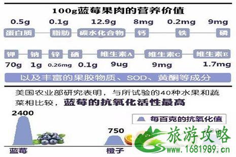 2022保康佰蒂蓝莓节6月15日开启 附采摘费用