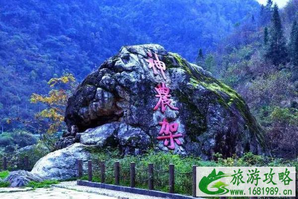 神农架和武功山哪个更好玩