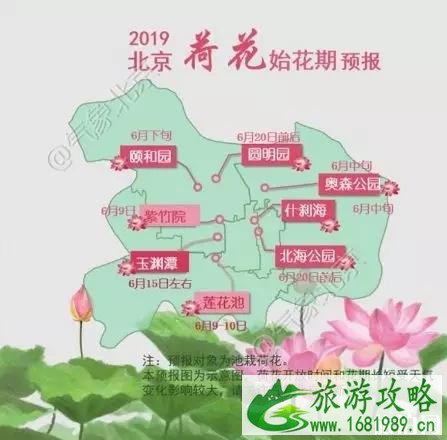 2022北京荷花几月开+地址+开放时间+门票