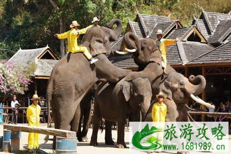 教师资格证旅游优惠景点有哪些