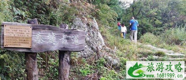 2022端午节去哪里玩 端午节去哪旅游比较好