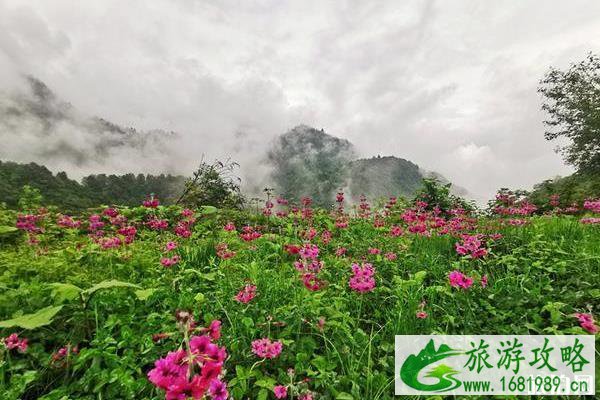 西岭雪山自驾游二日