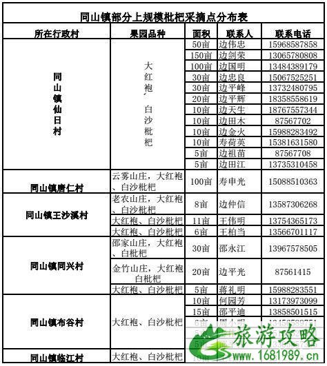 诸暨枇杷采摘园 地点+电话号码