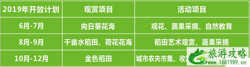 2022深圳光明小镇向日葵什么时候开