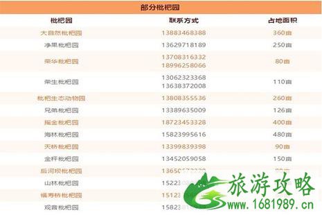 2022重庆合川古楼镇枇杷节 采摘园电话+价格