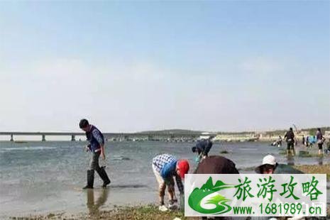 山东威海哪里可以赶海找海鲜