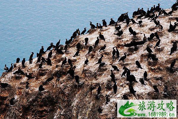 环青海湖骑行多长时间