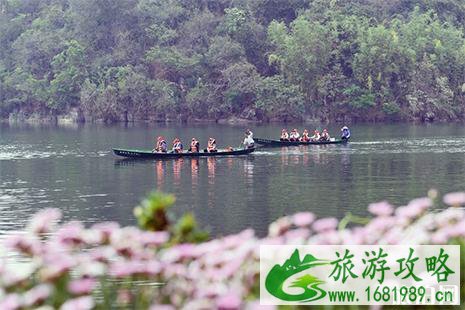 普者黑湿地公园门票多少钱