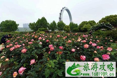 2022五一常州赏花的地方 花节+赏花活动