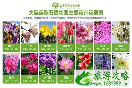 大连英歌石植物园门票多少钱