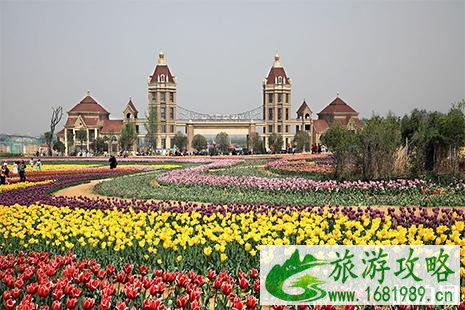 2022洛阳豪泽郁金香花海芍药花季4月26日开启