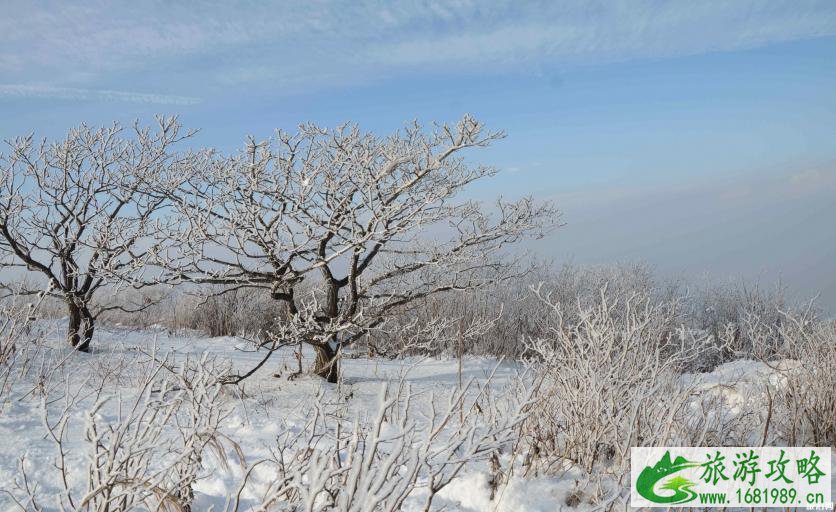 风轮雪山游玩攻略 去风轮雪山穿什么