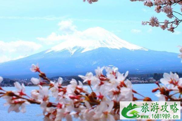 从东京到富士山怎么走