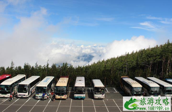 从东京到富士山怎么走