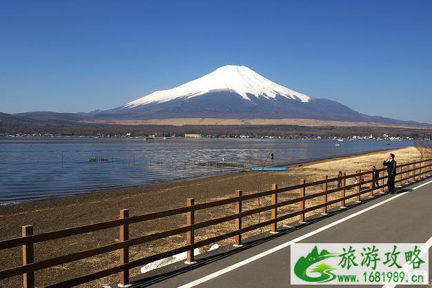 从东京到富士山怎么走