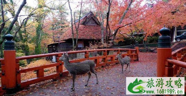 去日本旅游必去的景点