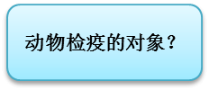 入境日本可以带肉制品吗