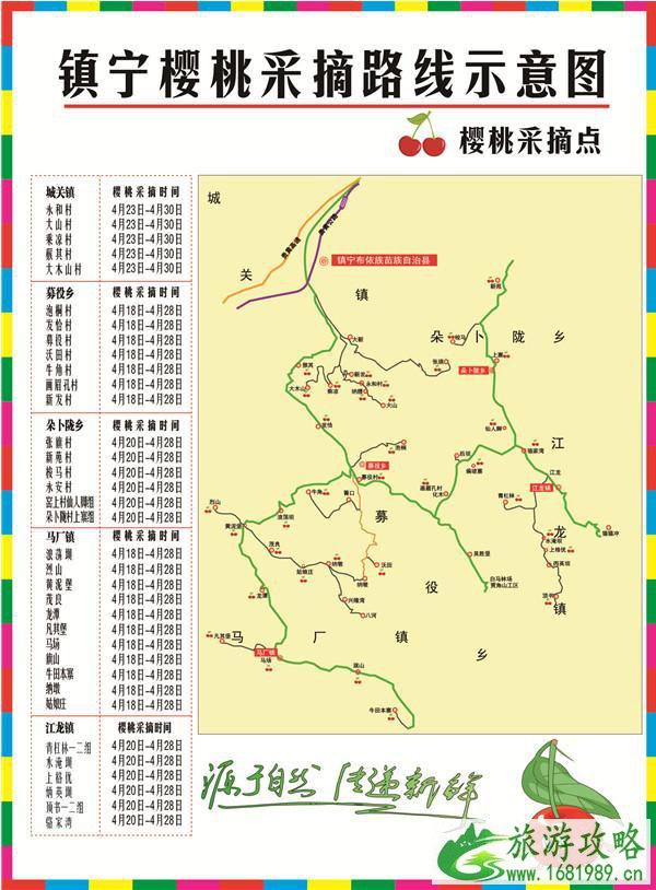 2022安顺镇宁各乡镇樱桃采摘时间+采摘地