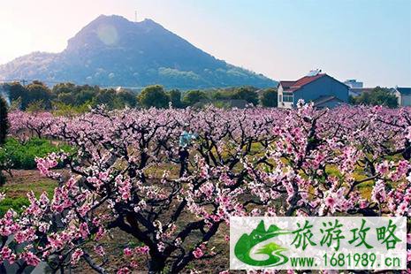 2022无锡阳山桃花节 附活动时间安排