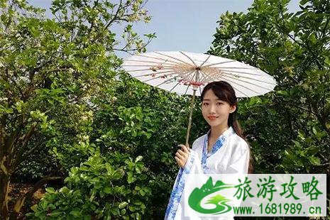 2022广西容县柚花文化旅游节3月22日开启