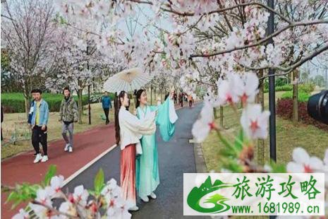 2022眉山樱花节是什么时候+门票+在什么地方+活动介绍