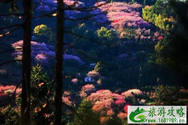 徽州3月份旅游景点